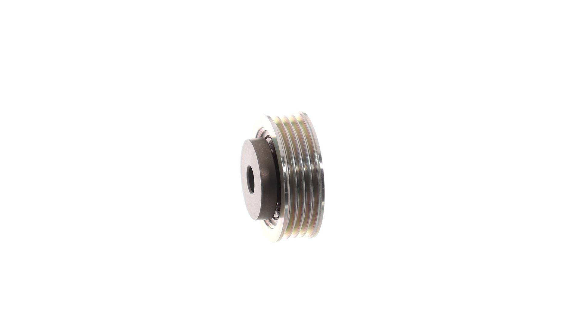 TENDICINGHIA, CINGHIA POLY-V