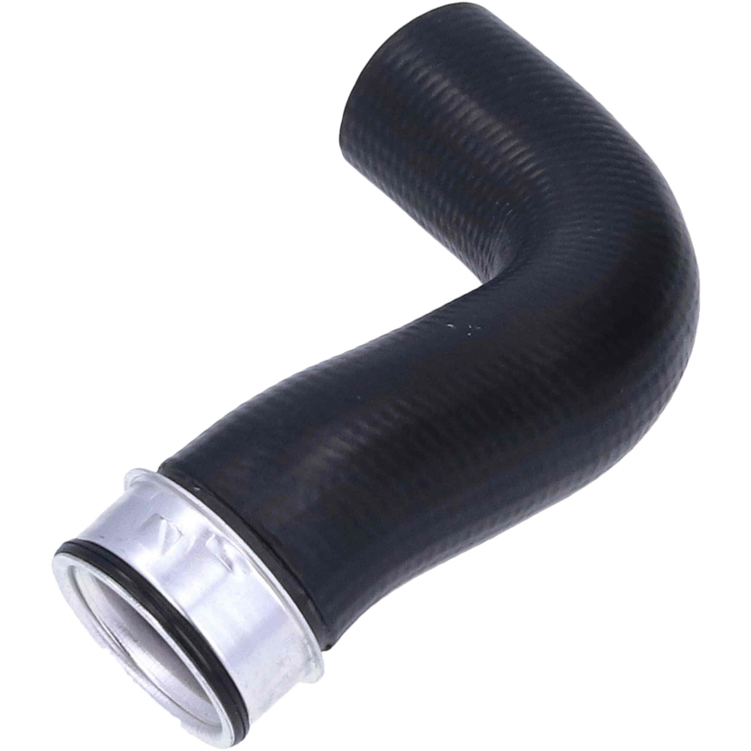 MANICOTTO Aria VITO CDi 06>