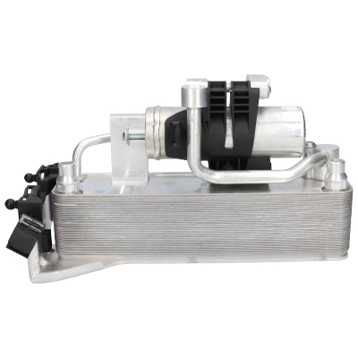 RADIATORE Olio BMW S.2 (F22) 17>