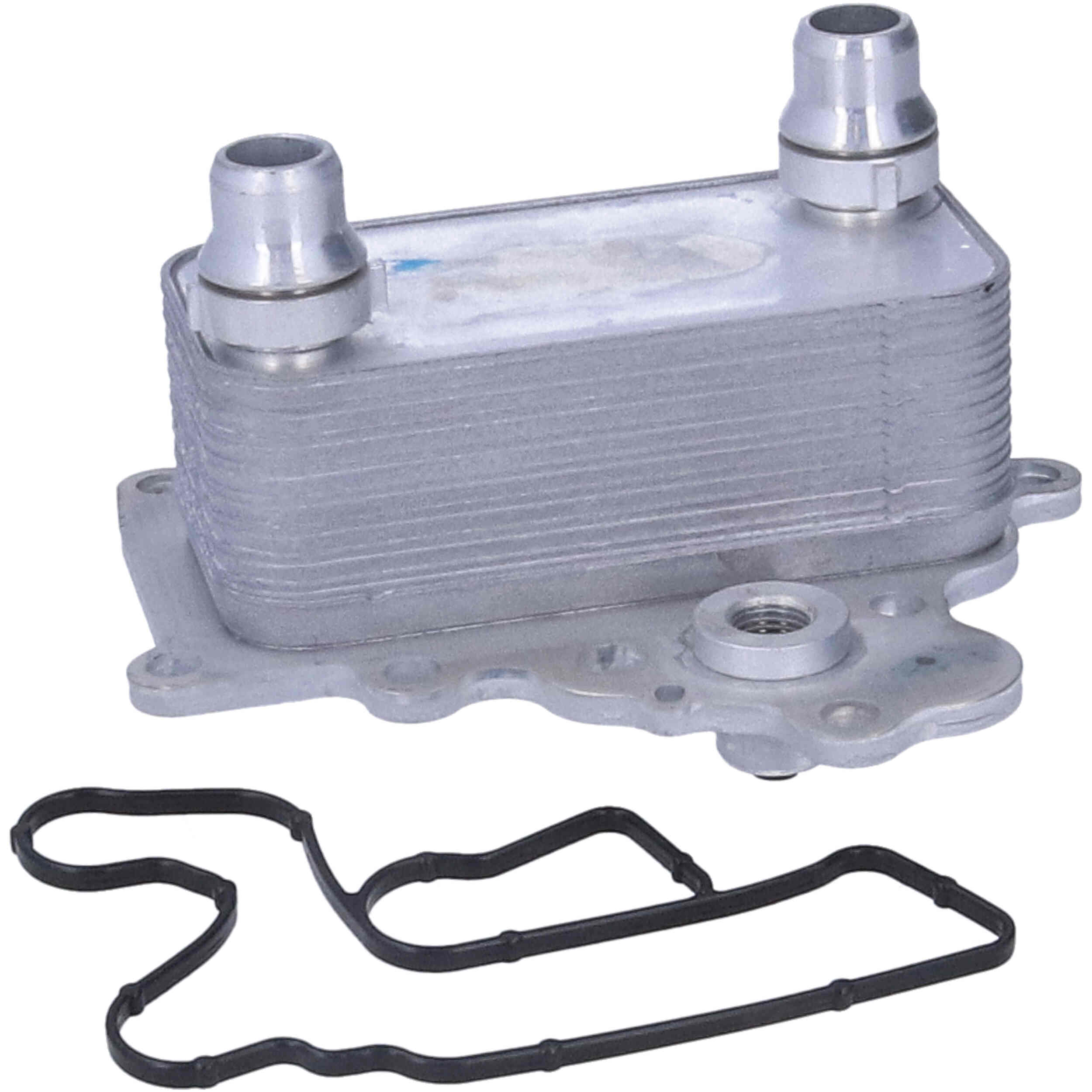 RADIATORE OLIO, OLIO MOTORE