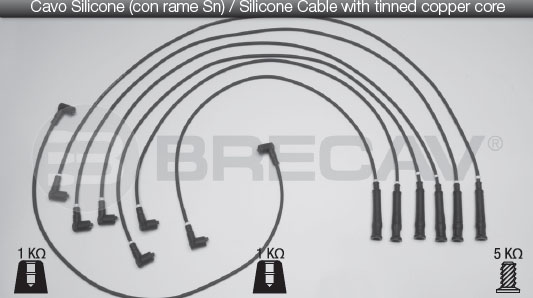 BRECAV CAVI CANDELE BMW