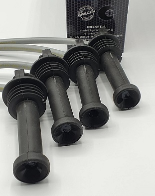 BRECAV CAVI CANDELE FORD