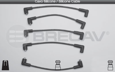 BRECAV CAVI CANDELE LEYLAND