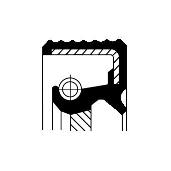 Paraolio, cambio manuale CORTECO 19036891B