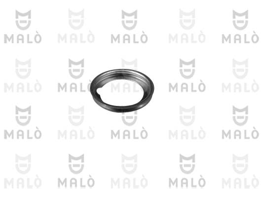 ANELLO DI TENUTA, VITE DI SCARICO OLIO