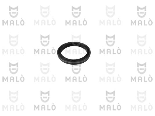 ANELLO DI TENUTA, VITE DI SCARICO OLIO