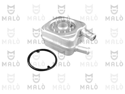 RADIATORE OLIO, OLIO MOTORE