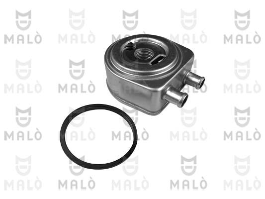 RADIATORE OLIO, OLIO MOTORE
