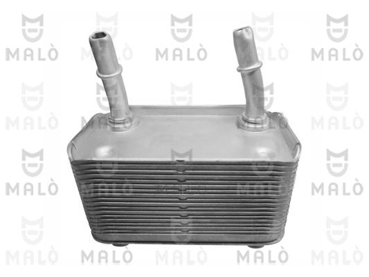 RADIATORE OLIO, OLIO MOTORE
