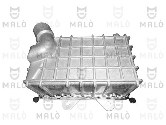 RADIATORE OLIO, OLIO MOTORE