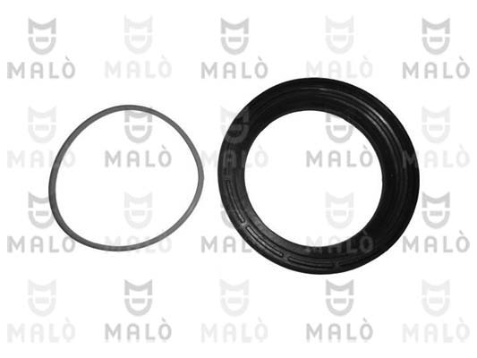 GUARNIZIONE, SENSORE LIVELLO CARBURANTE - AKRON