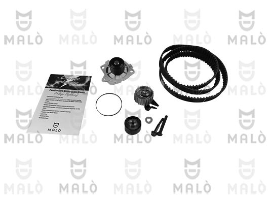 POMPA ACQUA + KIT CINGHIE DENTATE