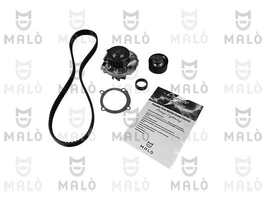 POMPA ACQUA + KIT CINGHIE DENTATE