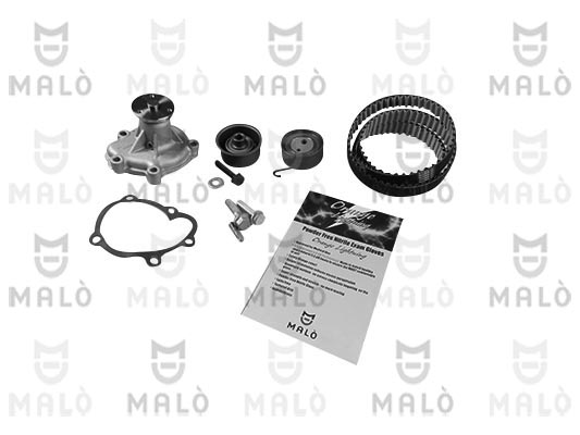 POMPA ACQUA + KIT CINGHIE DENTATE