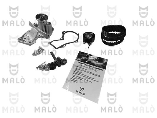 POMPA ACQUA + KIT CINGHIE DENTATE