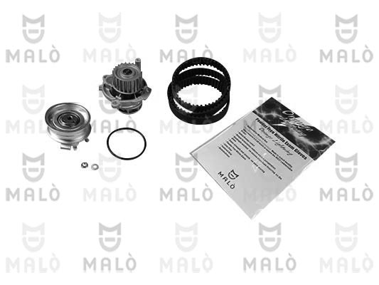 POMPA ACQUA + KIT CINGHIE DENTATE