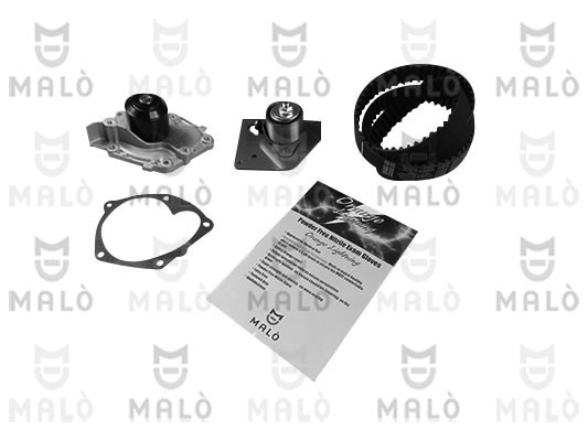 POMPA ACQUA + KIT CINGHIE DENTATE