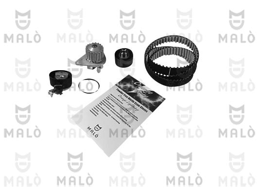 POMPA ACQUA + KIT CINGHIE DENTATE