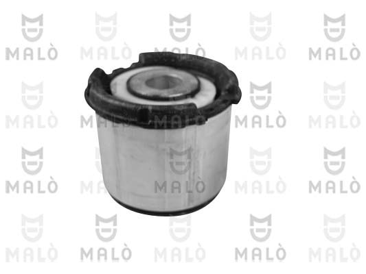 SUPPORTO, CORPO ASSIALE