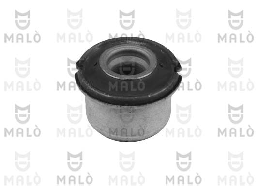 SUPPORTO, CORPO ASSIALE