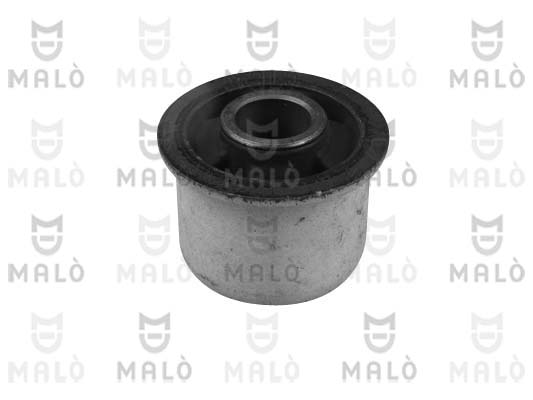 SUPPORTO, CORPO ASSIALE