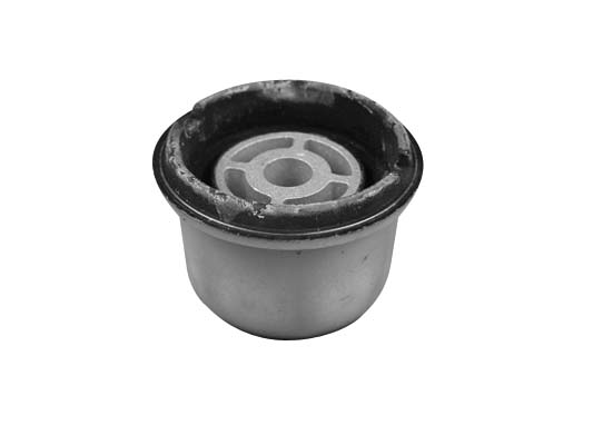 SUPPORTO, CORPO ASSIALE