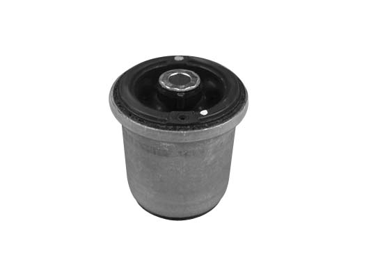 SUPPORTO, CORPO ASSIALE