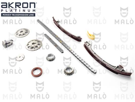 KIT CATENA DISTRIBUZIONE