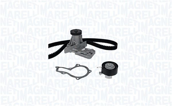 KIT CINGHIE CON PA FORD FIESTA VI