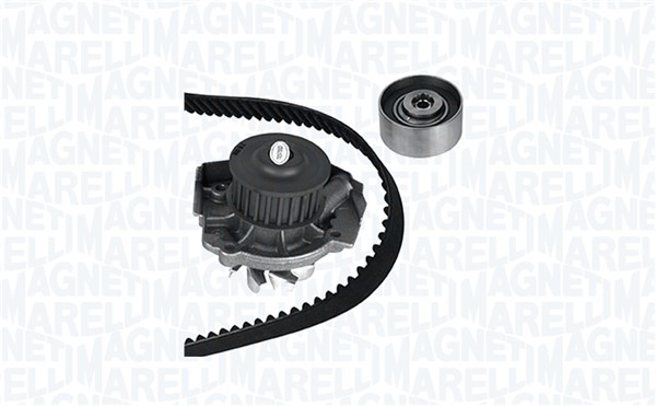 KIT CINGHIE CON PA FIAT 500 (312)