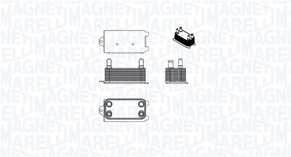 RADIATORE OLIO, OLIO MOTORE