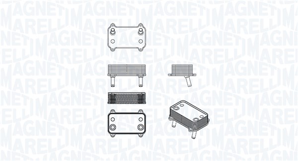 RADIATORE OLIO, OLIO MOTORE