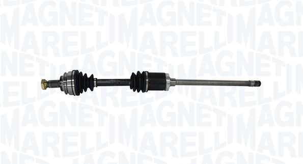 MARELLI ALB. TRAS. DX FR BMW X5