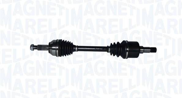 MARELLI ALB. TRAS. SX FR FORD FOCUS