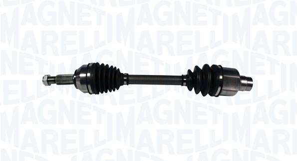 MARELLI ALB. TRAS. DX FR FORD FOCUS