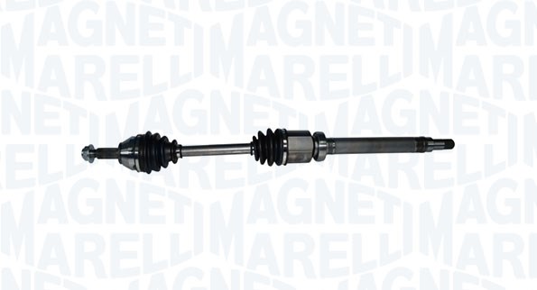 MARELLI ALB. TRAS. DX FR FORD FOCUS