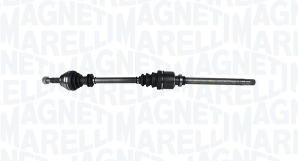 SEMIASSE FIAT DUCATO VAN