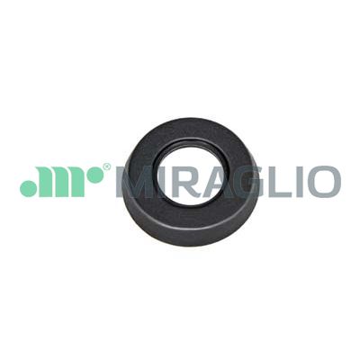 Manovella alzacristallo MIRAGLIO 110/34