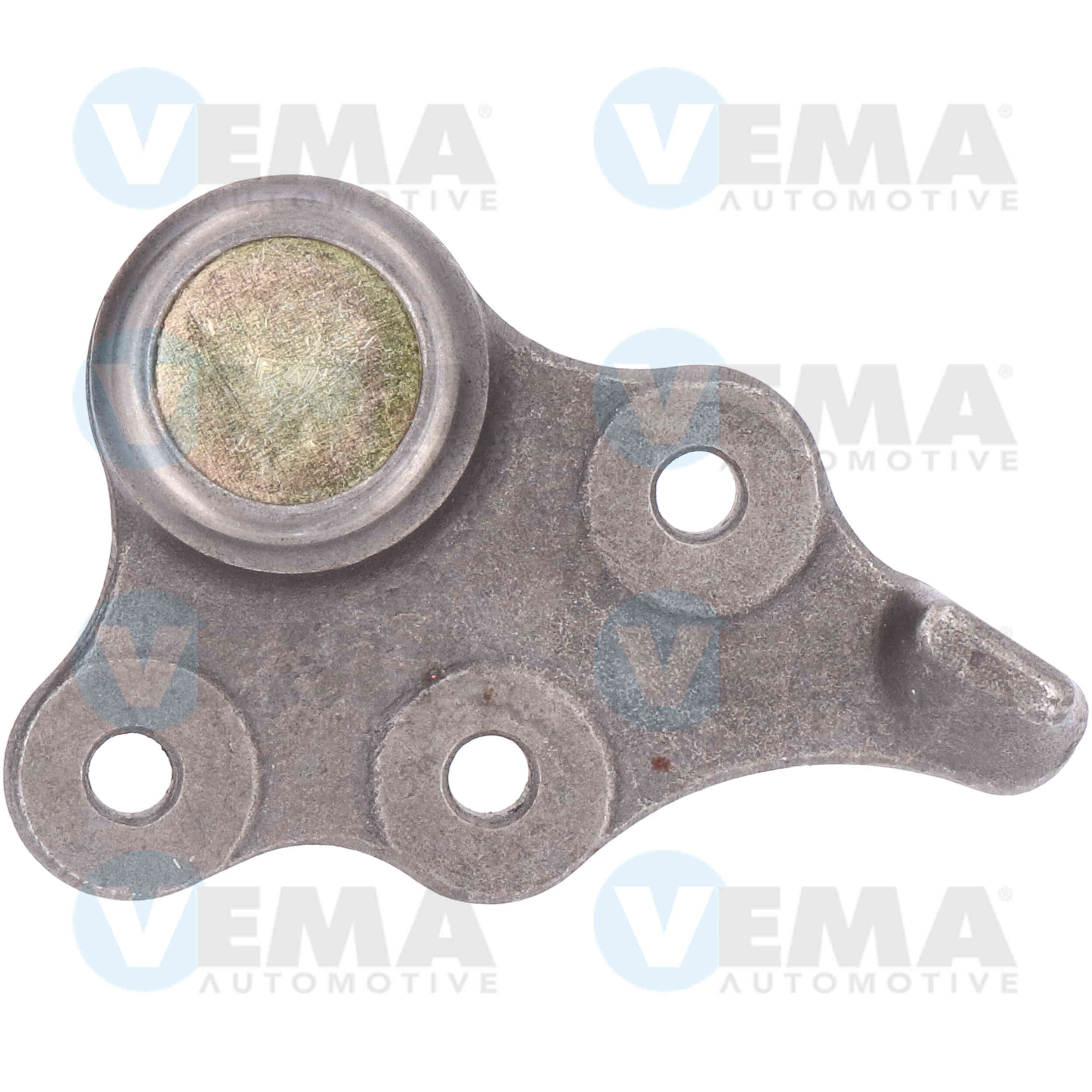 VEMA TESTE SOSPENSIONE (SX)