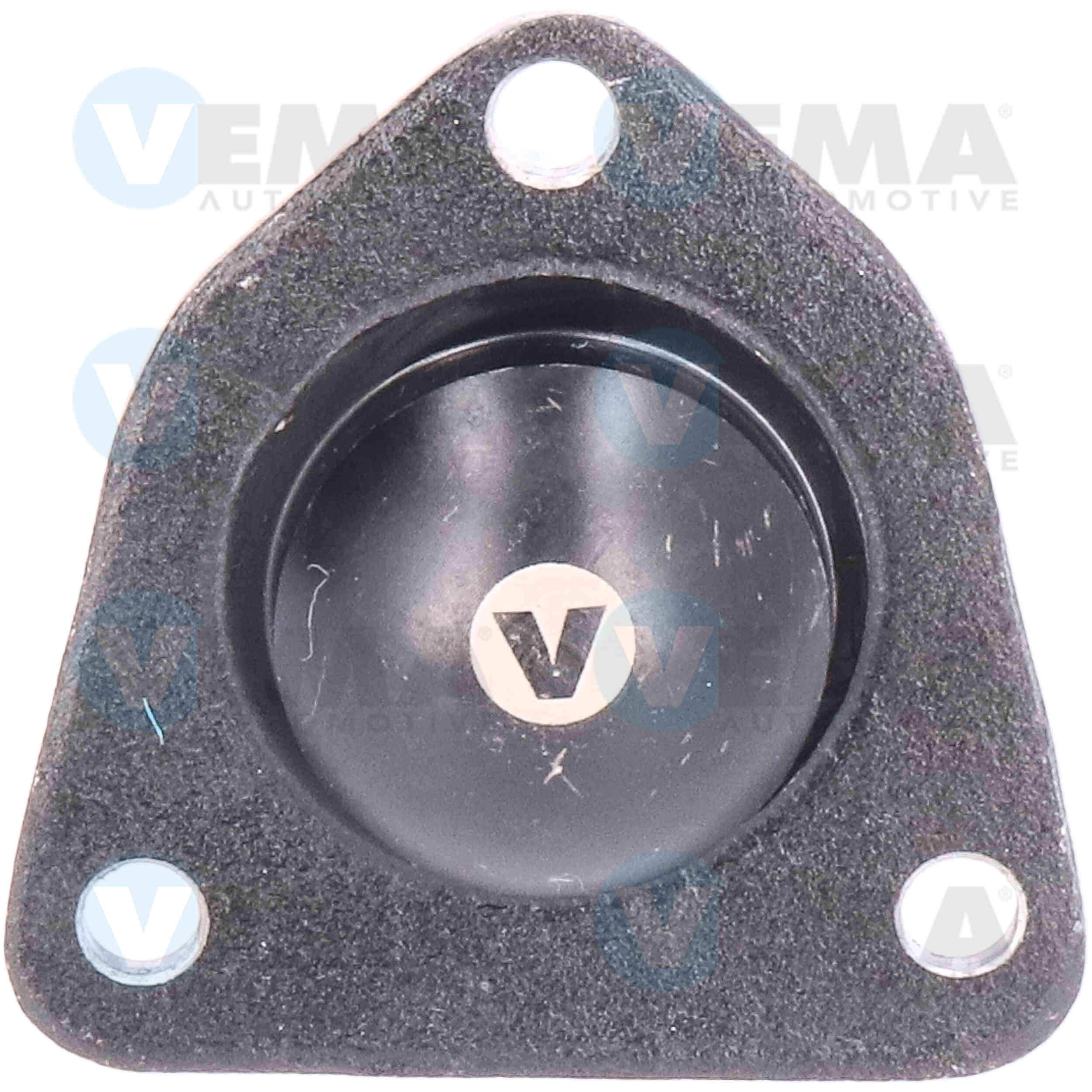 VEMA TESTE SOSPENSIONE (DX)(SX)