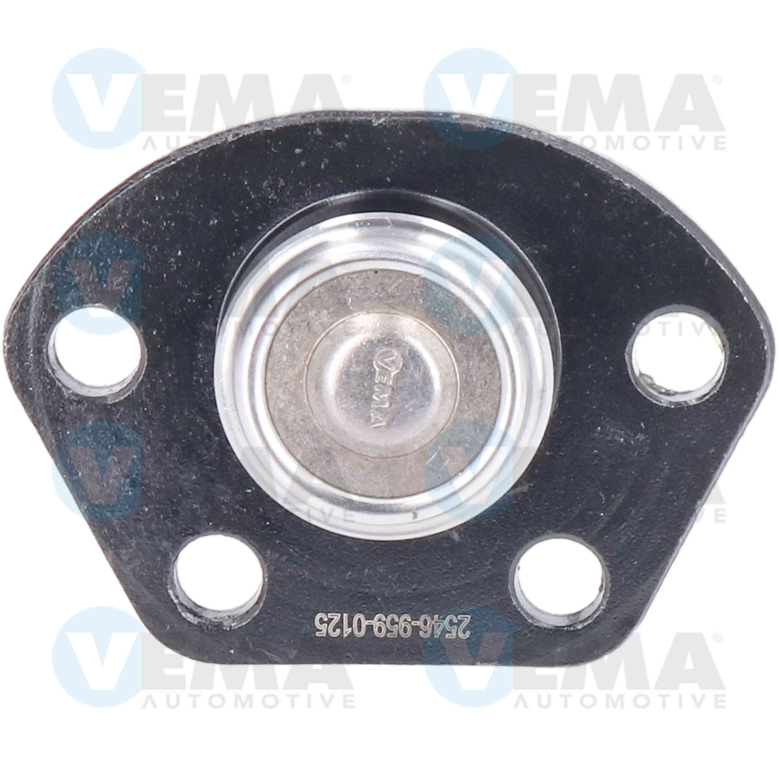 VEMA TESTE SOSPENSIONE (DX)(SX)