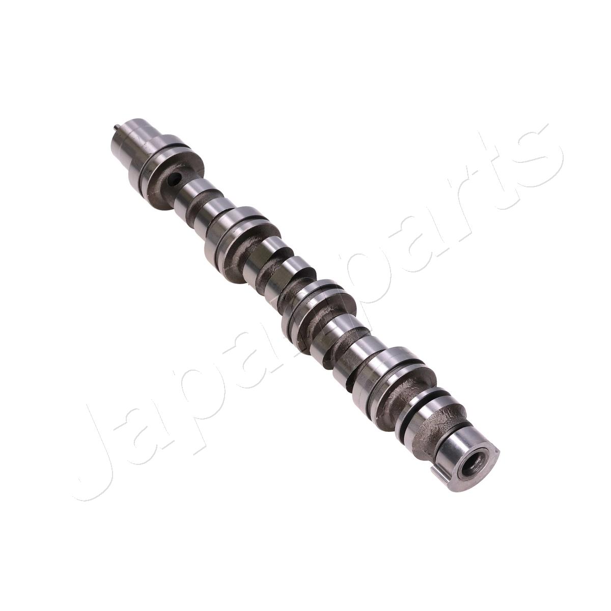 JAPAN ALBERO A CAMME