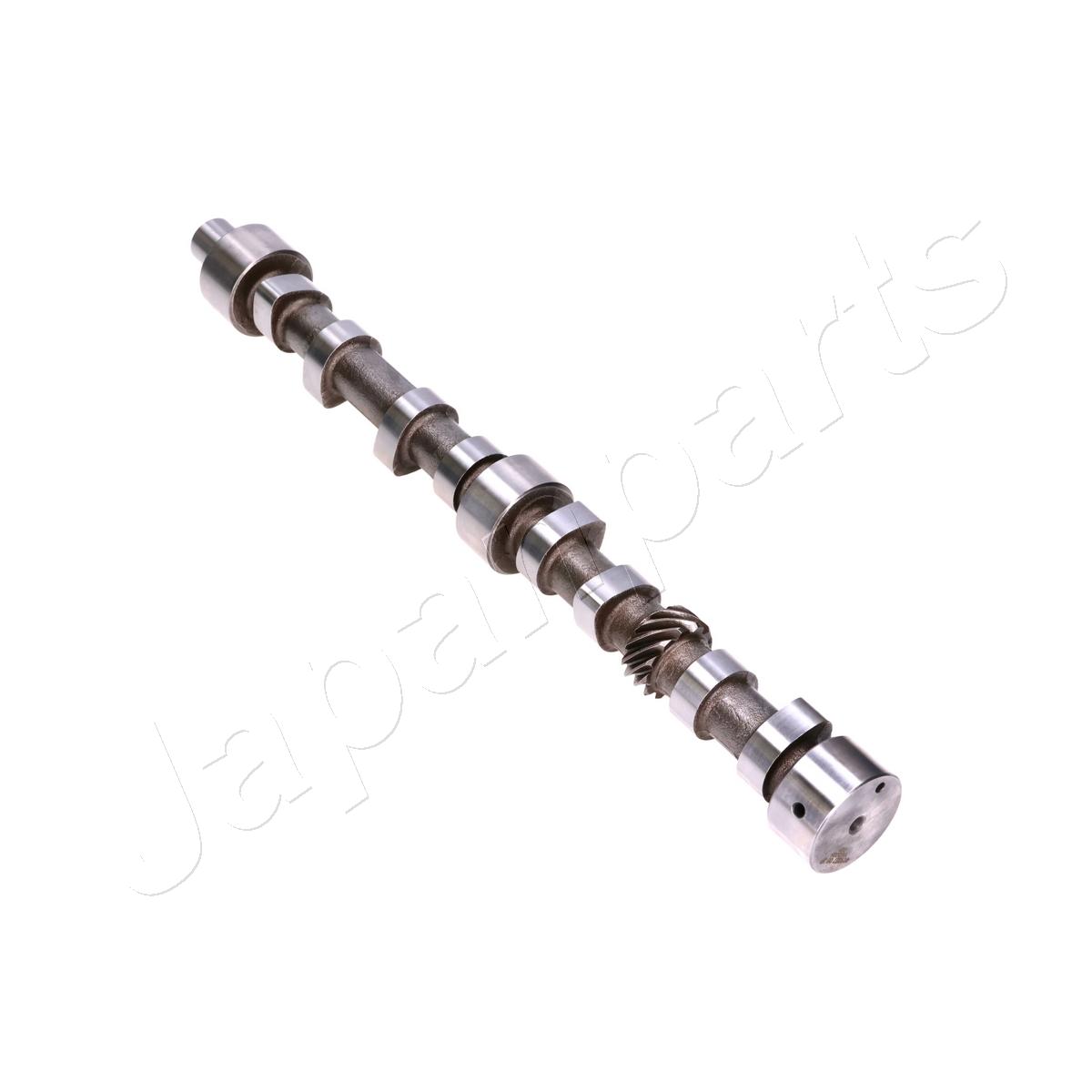 JAPAN ALBERO A CAMME