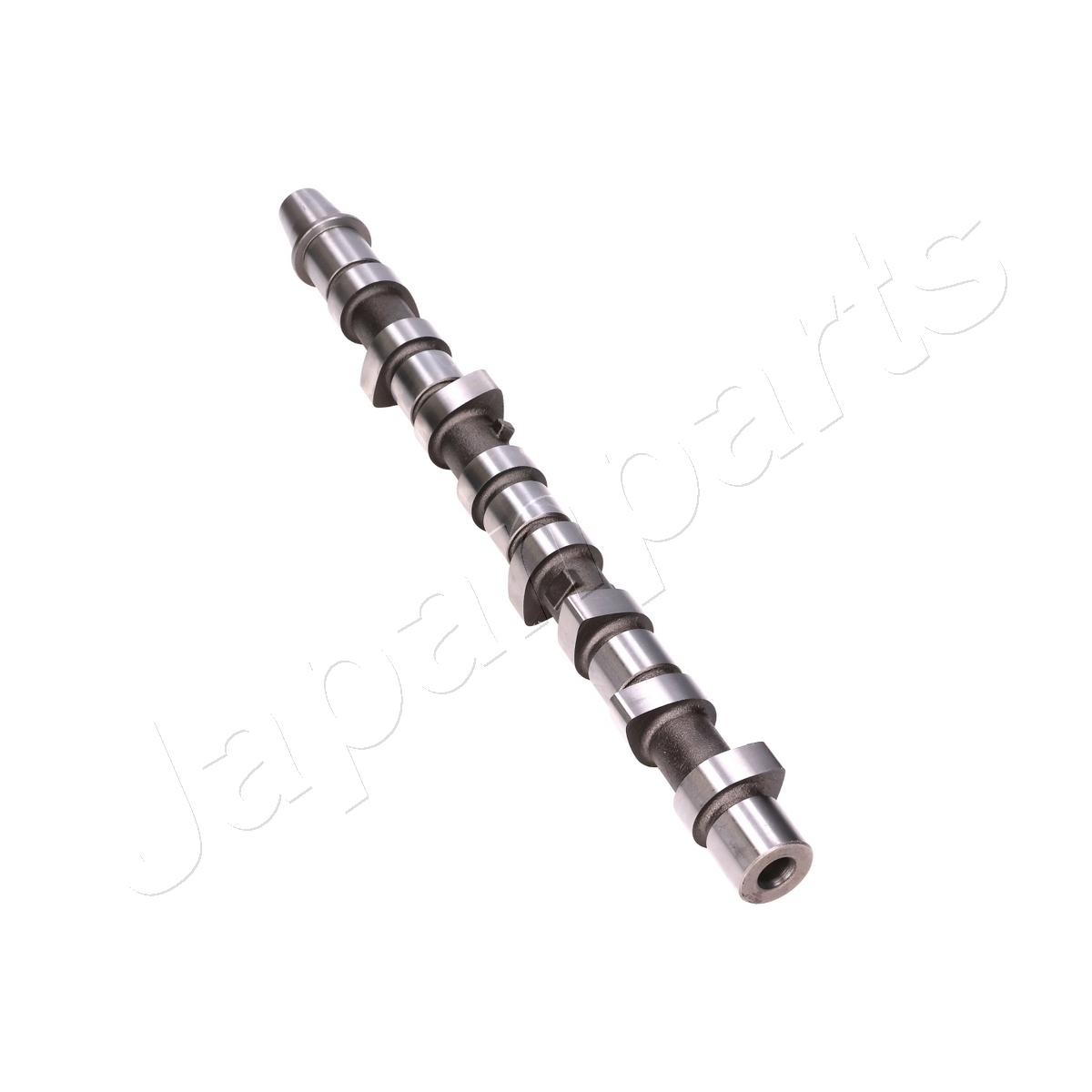 JAPAN ALBERO A CAMME