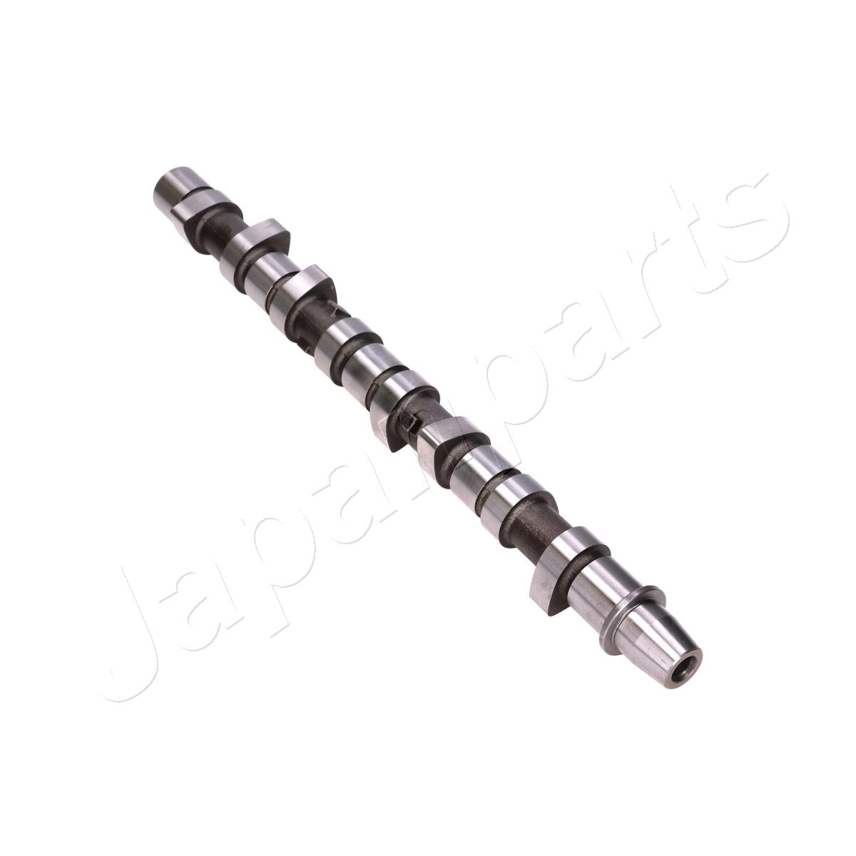 JAPAN ALBERO A CAMME