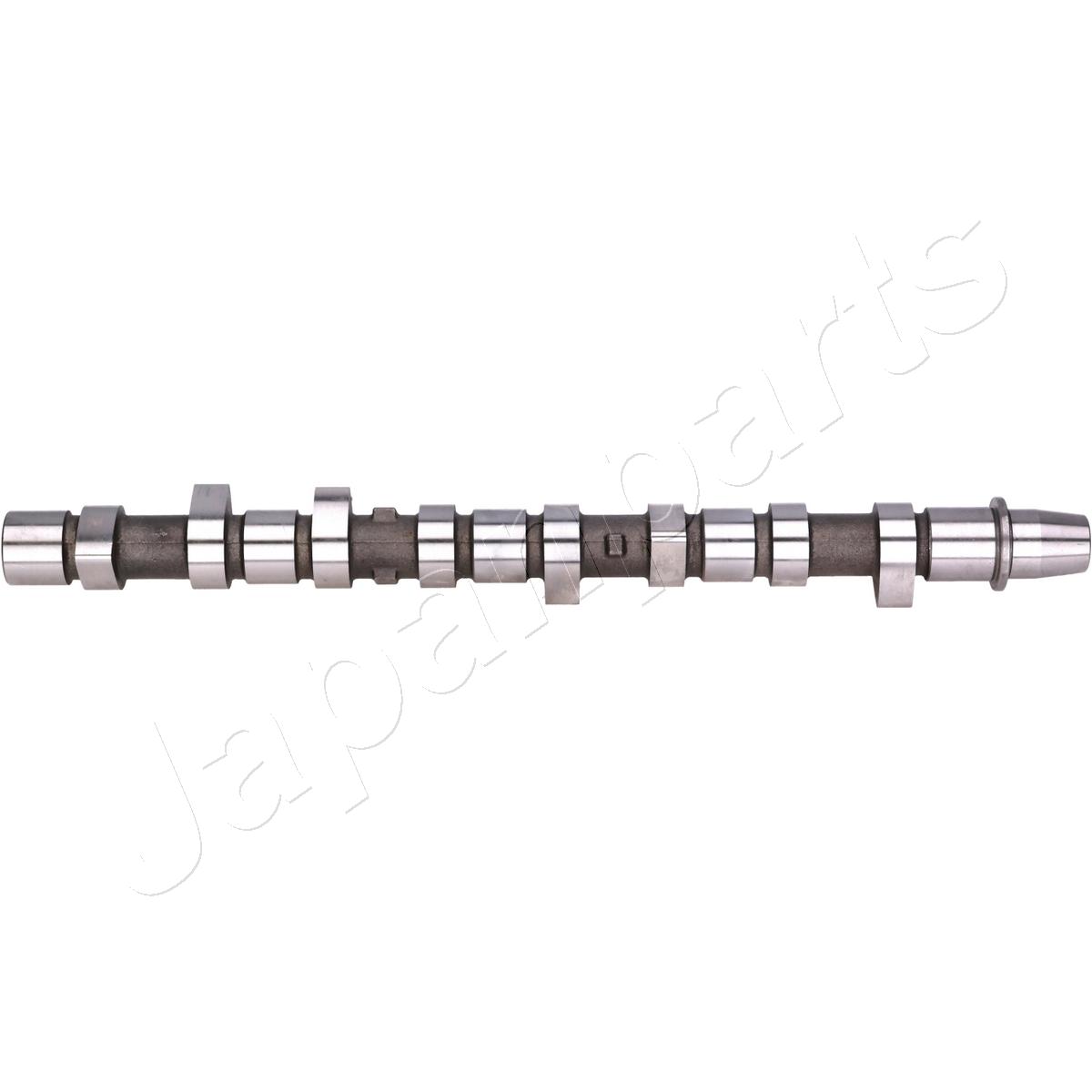 JAPAN ALBERO A CAMME