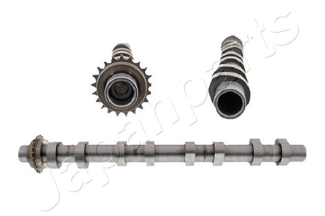 JAPAN ALBERO A CAMME