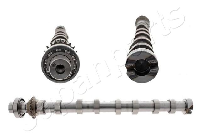 JAPAN ALBERO A CAMME