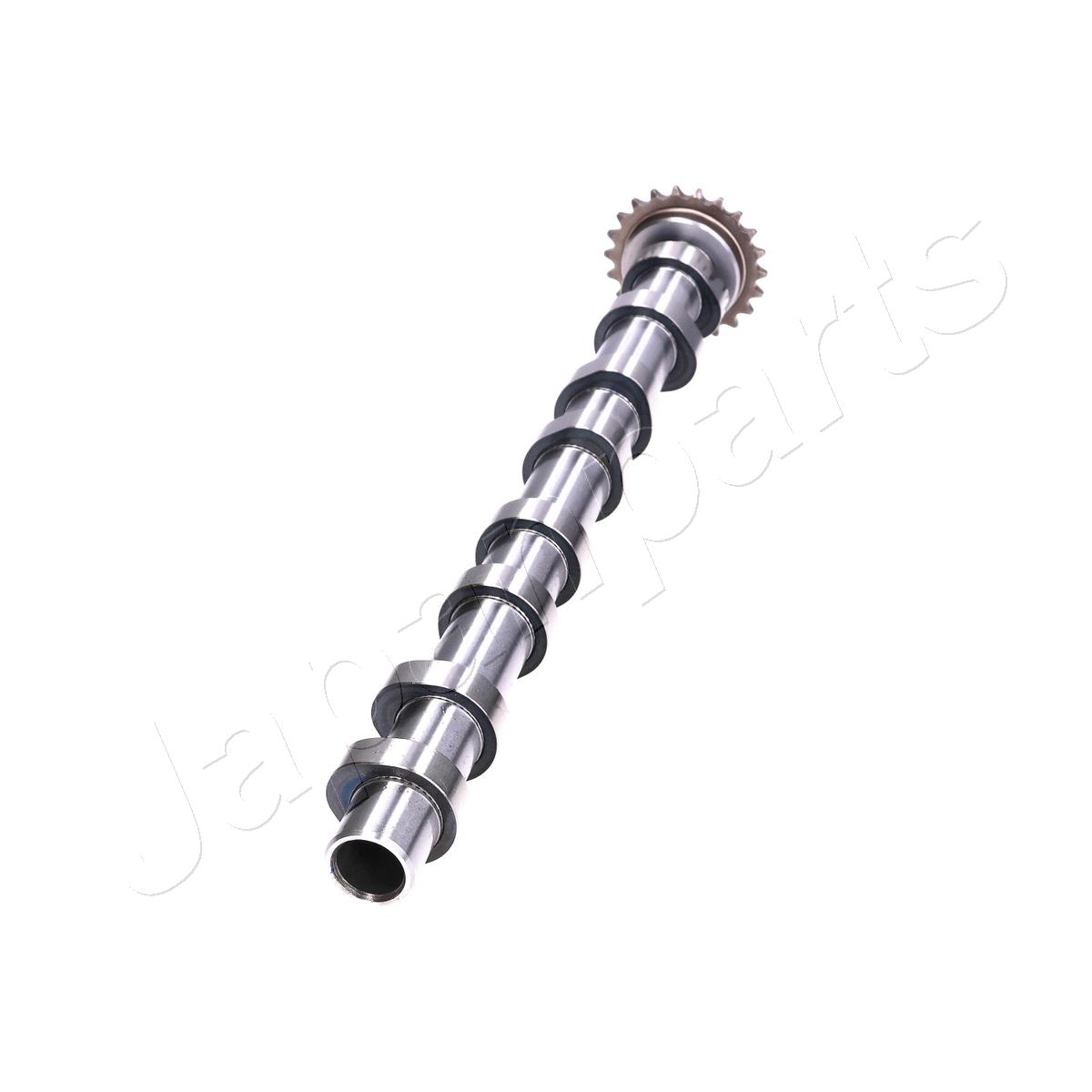 JAPAN ALBERO A CAMME