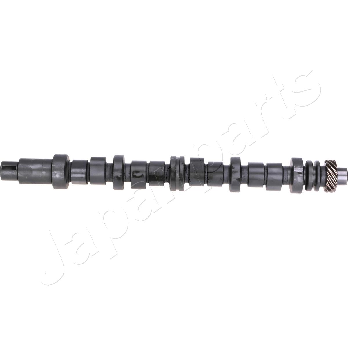 JAPAN ALBERO A CAMME